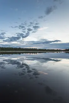 Prints of Cloud reflection in a forest lake, Norrbotten, Lapland, Sweden, July 2017 Lake Prints: Cloud Reflection Print, Norrbotten, Lapland Sweden