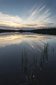Cloudy Forest Lake Prints: Cloud reflection in a forest lake