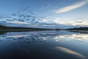 Prints of Cloud reflection in a forest lake, Norrbotten, Lapland, Sweden, July 2017 Lake Prints: Cloud Reflection Print, Norrbotten Lake, Sweden 2017