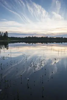 Overcast Sky Landscape Photo Prints: Cloud reflection in a forest lake
