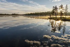 Cloudy Forest Lake Prints: Cloud reflection in a forest lake