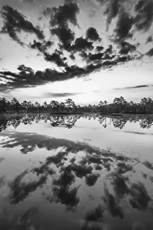 Scandinavian Natural Preserve Prints: Cloud reflection in a moor lake