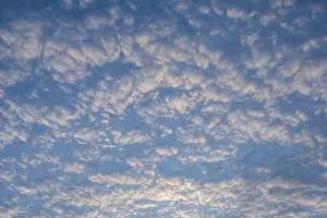 Evening Sun Germany Prints: Cloud structure, cloud formation