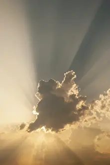 Overcast Sky With Clouds Prints: Cloud in front of the sun showing rays of light