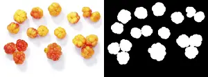 Deserted Landscape Photos Prints: Cloudberries (Rubus chamaemorus), top view