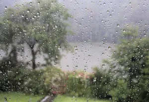 Rainy Weather Prints: Cloudburst rain, seen through the window pane