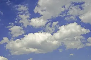 Blue Sky Clouds Prints: Clouds in the blue sky