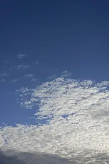 Cloudy Daytime Scene Prints: Clouds, Cirrocumulus