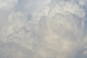 Nice Weather Conditions Prints: clouds (Cumulus)