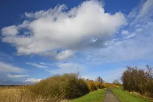 Lower Saxony Landscape Photography Prints: Clouds over the dike at Lake Dummer