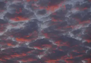 Deserted Evening Sky Prints: Clouds in the sky at sunset