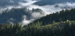 Thuringian Forest Landscape Prints: Clouds in the Thuringian Forest