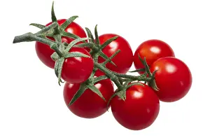 Cherry Tomatoes Prints: Cluster of tiny cherry tomatoes (ciliegini)