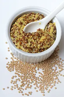 French Mustard Seeds Prints: Coarse-grained Dijon mustard in shell