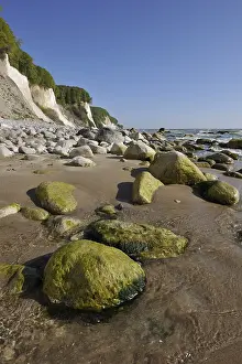 German National Park Landscape Prints: Coastal cliffs, shingle beach and chalk cliffs