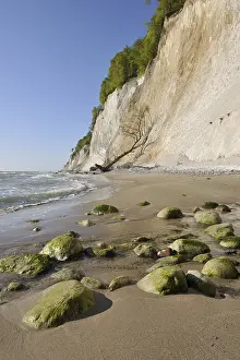 Coastal Cliffs Prints: Coastal cliffs, shingle beach and chalk cliffs