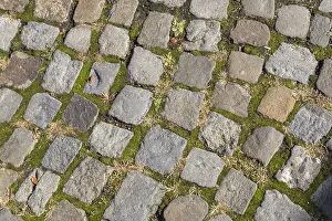 Deserted Cobblestone Street Prints: Cobblestone, texture, background