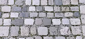 Full Frame Cobblestones Prints: Cobblestones with moss in the intermediate joints