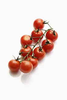 Cocktail Tomatoes Prints: Cocktail tomatoes