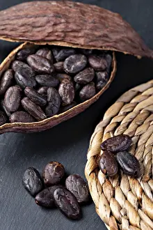 Cocoa Pods Prints: Cocoa Pod And Beans on a table