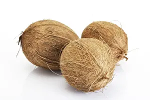 Coconut Nutrition Prints: Coconuts