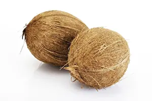 Indoor Grocery Essentials Prints: Coconuts