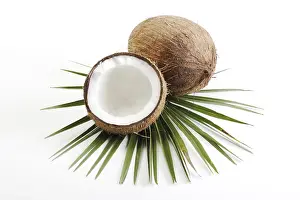 Coconut Nutrition Prints: Coconuts, one halved, palm leaf