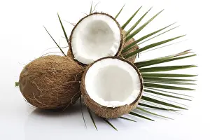 Coconut Nutrition Prints: Coconuts, one halved, palm leaf