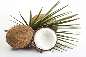 Palm Leaf Photography Prints: Coconuts, one halved, palm leaf