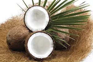 Palm Leaf Photography Prints: Coconuts, one halved, palm leaf