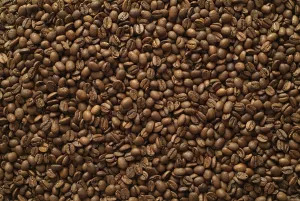 Studio Shot Backgrounds Prints: Coffee Beans
