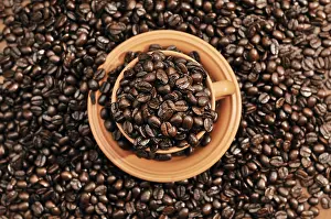 Coffee Beans In A Cup Prints: Coffee beans in a cup