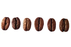 Close View Of Coffee Beans Prints: Coffee beans in a row