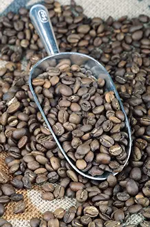 Coffee Bean Nutrition Facts Prints: Coffee beans in scoop
