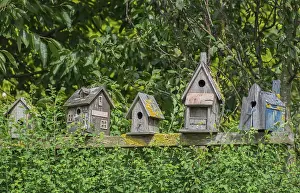 European Species Conservation Prints: Collection of weathered nesting boxes