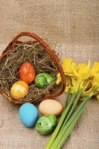 Coloured Eggs Prints: Coloured eggs