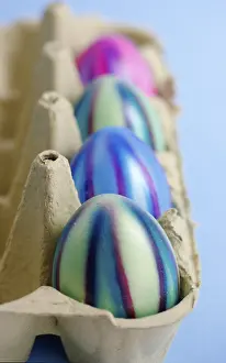 Colourful Easter Eggs Prints: Coloured eggs, Easter eggs, in an egg carton
