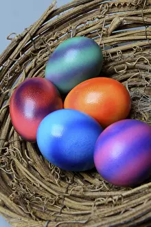 Colourful Easter Eggs Prints: Coloured eggs in nest shell, colourful Easter eggs