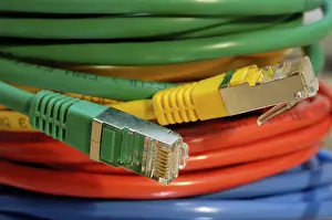 Coloured Network Cables Prints: Coloured network cables for computer