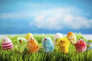 Green Grass Landscape Prints: Colourful easter chicks on the green grass
