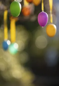 Colourful Easter Eggs Prints: Colourful Easter eggs hang on tree