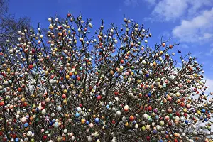 Easter Egg Decoration Prints: Many colourful Easter eggs on a tree