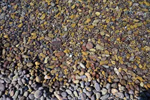 Lambi Beach Greece Prints: Colourful pebbles in the water with different textures and patterns