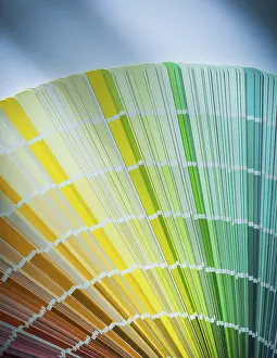 Isolated On White Background Photo Prints: Colourful sampler on a white background