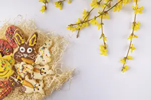 Colorful Baked Goods Prints: Colourfully decorated Easter biscuits in a nest