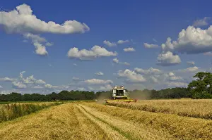 Combine Harvester Prints: Combine harvester