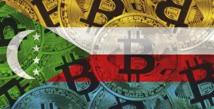 Prints of Comorian flag with Bitcoins in the background. Bitcoin cryptocurrency with Comoros flag, Investors in Blockchain Technology Comoros Prints: Comorian Flag Print with Bitcoins Background