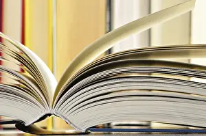 Public Institution Study Space Prints: Composition with books in the library