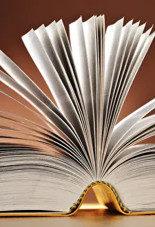 Composition With Books Prints: Composition with books on the table
