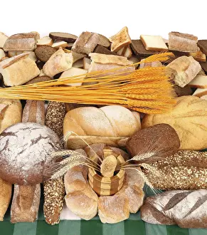 Studio Shot Of Breads Prints: Composition of breads. Close up
